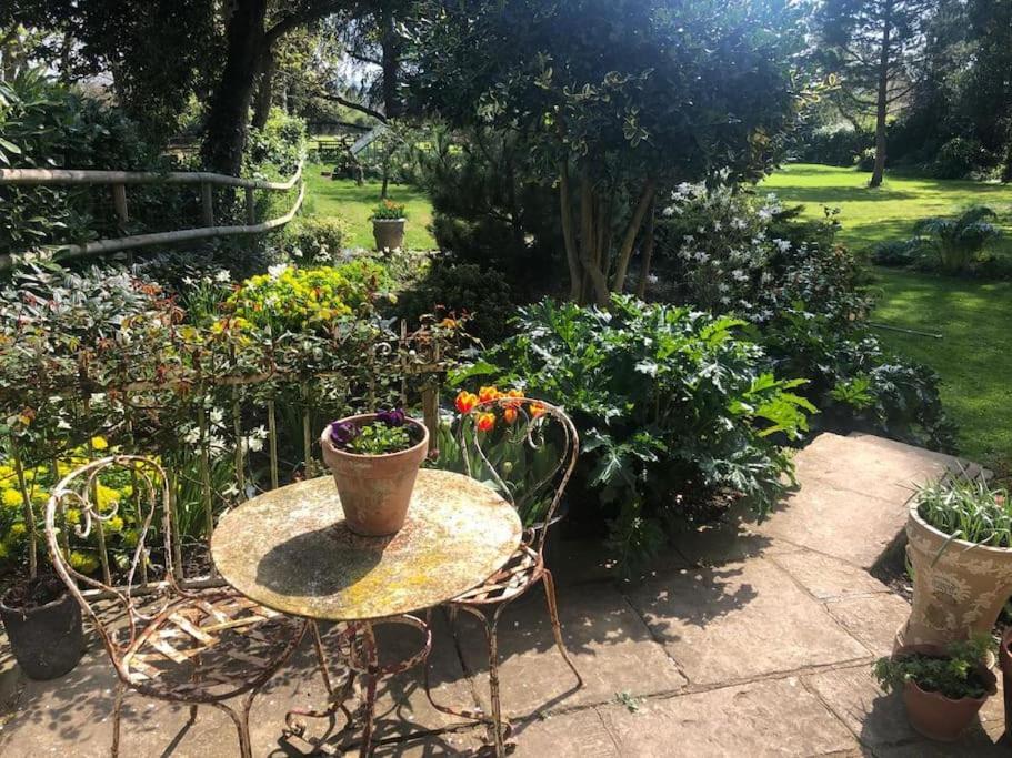 Escape To Ash House 18Th Century Manor In Somerset Martock Екстериор снимка