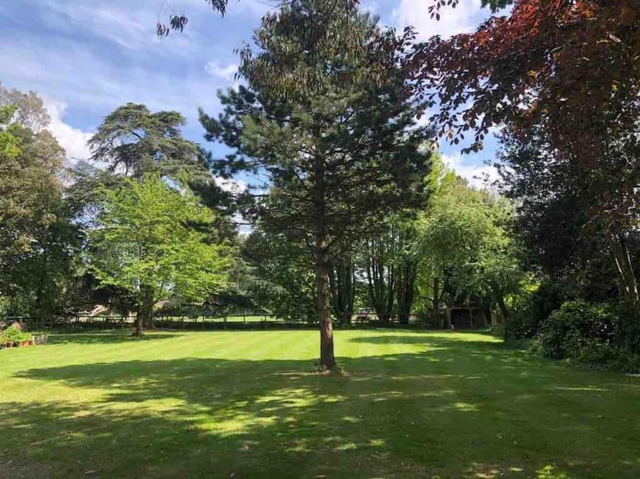 Escape To Ash House 18Th Century Manor In Somerset Martock Екстериор снимка