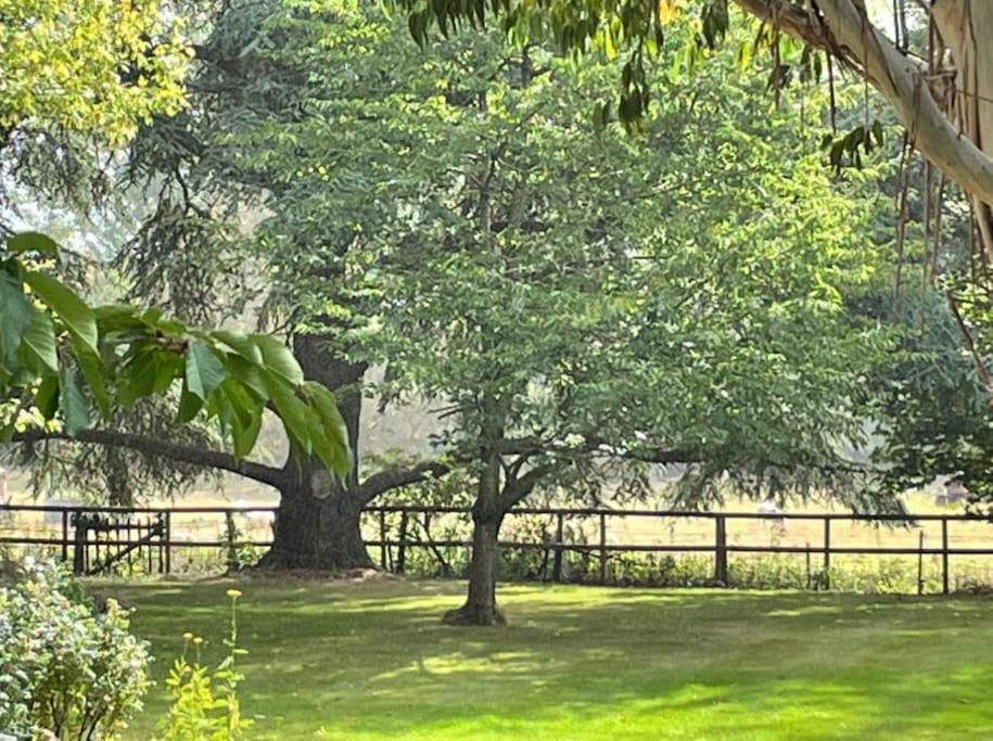 Escape To Ash House 18Th Century Manor In Somerset Martock Екстериор снимка