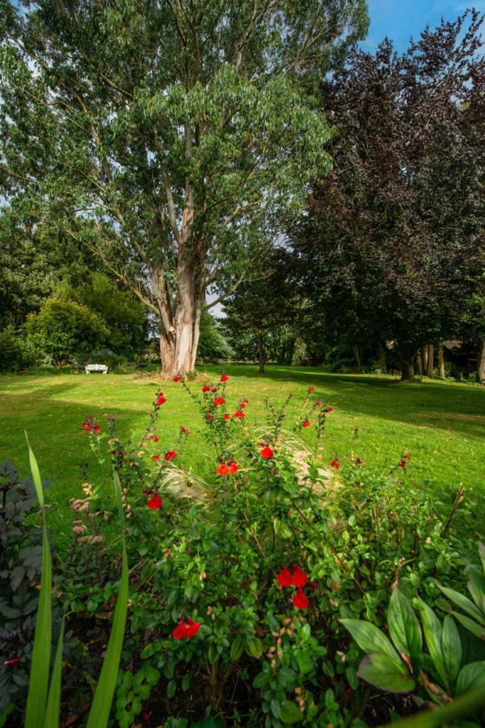 Escape To Ash House 18Th Century Manor In Somerset Martock Екстериор снимка