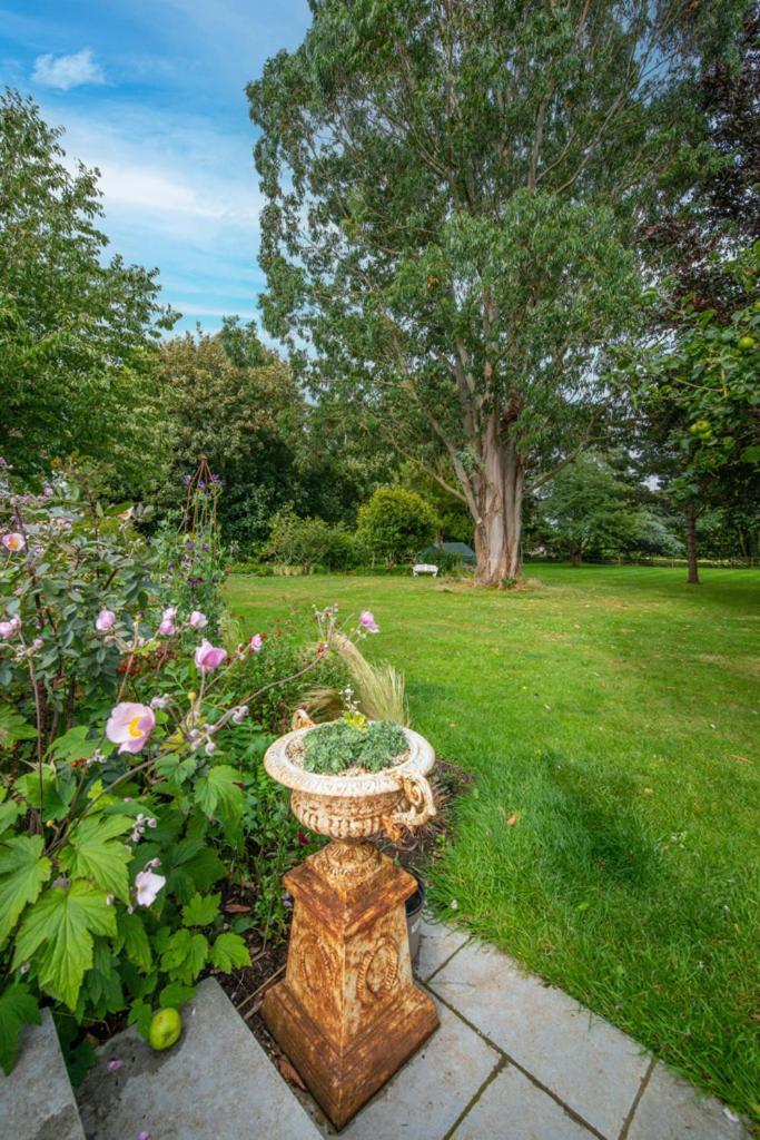 Escape To Ash House 18Th Century Manor In Somerset Martock Екстериор снимка